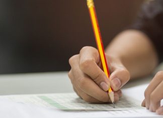 Concursos da Alece, TJCE, Sefaz e mais: veja editais e vagas de emprego no CE