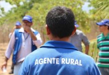 Ceará abre seleção para agricultores com 801 vagas e bolsa de R$ 1,5 mil do Programa Agente Rural