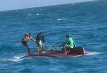 Pai e filho são resgatados à deriva em alto mar se alimentando de leite e sal; vídeo