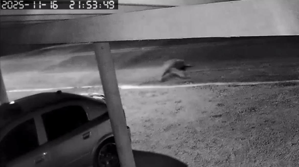 mulher ararenda ipueiras