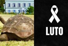 Morre Jonathan, animal terrestre mais velho do mundo, aos 193 anos