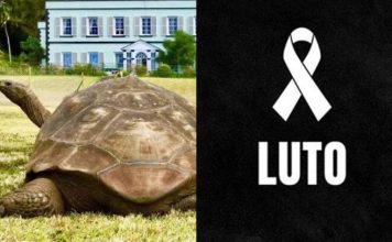 Morre Jonathan, animal terrestre mais velho do mundo, aos 193 anos