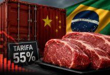Por que ninguém fala do tarifaço da China que afeta o Brasil