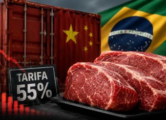 Por que ninguém fala do tarifaço da China que afeta o Brasil