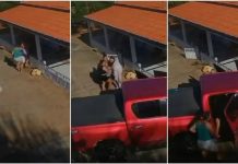 Idoso é socorrido inconsciente após ser picado por cobra jararaca em Parambu, no Interior do Ceará