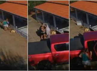 Idoso é socorrido inconsciente após ser picado por cobra jararaca em Parambu, no Interior do Ceará