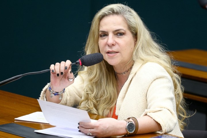 luizianne-lins-deputada