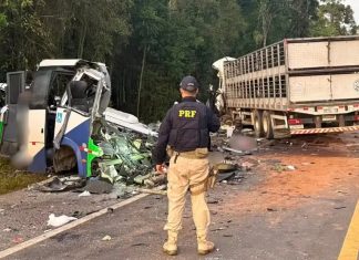 Acidente entre ônibus e carreta deixa mais de 20 mortos em rodovia no Paraná