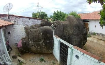 Governador do Ceará encaminha patrocínio no valor R$ 2,5 milhões para a escola de samba no RJ