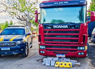 Em 04 dias, polícia apreende 185 kg de drogas enviadas do Pará ao Ceará